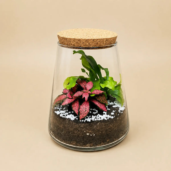 Terrarium Eco Chic 059