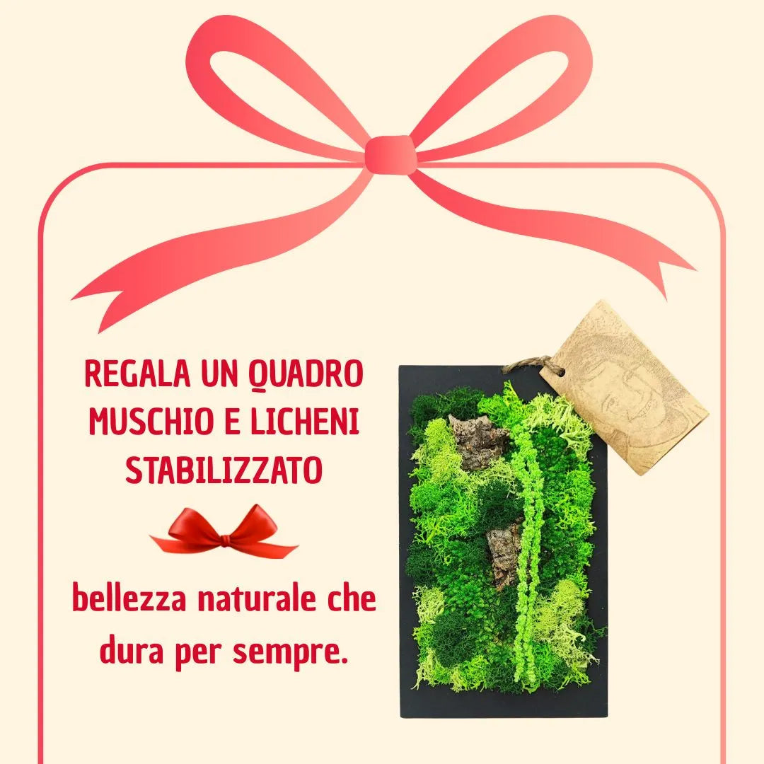 Rectangular mini frame of preserved moss and lichen with gift box