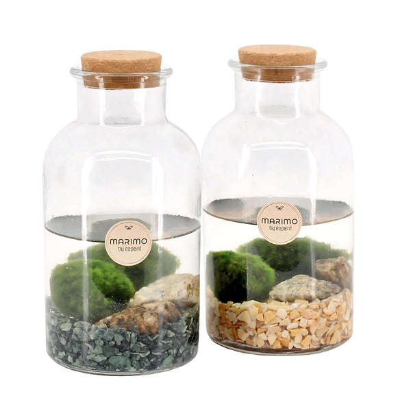 Arr. aquatic plants Marimo 90527