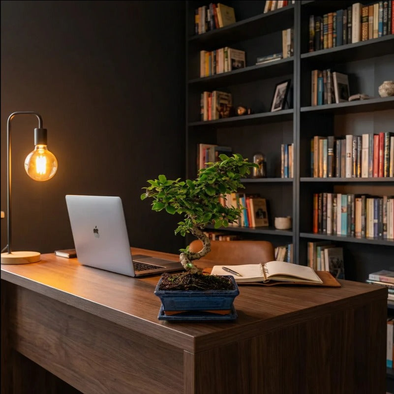 Bonsai Carmona Microphylla - albero del tè di Fukien con chioma compatta e tronco curvo in vaso blu su scrivania moderna.