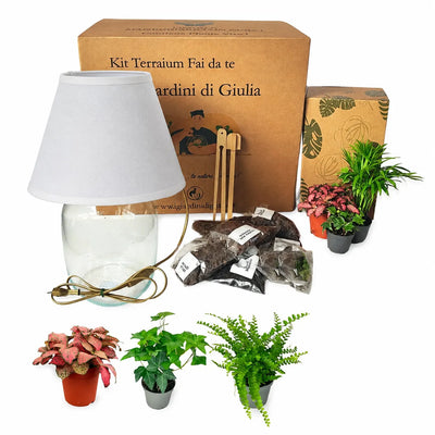 Kit Terrarium Lamparium Medio con piante verdi