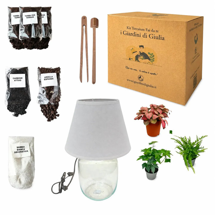 Kit Terrario Lamparium Mediano con plantas verdes