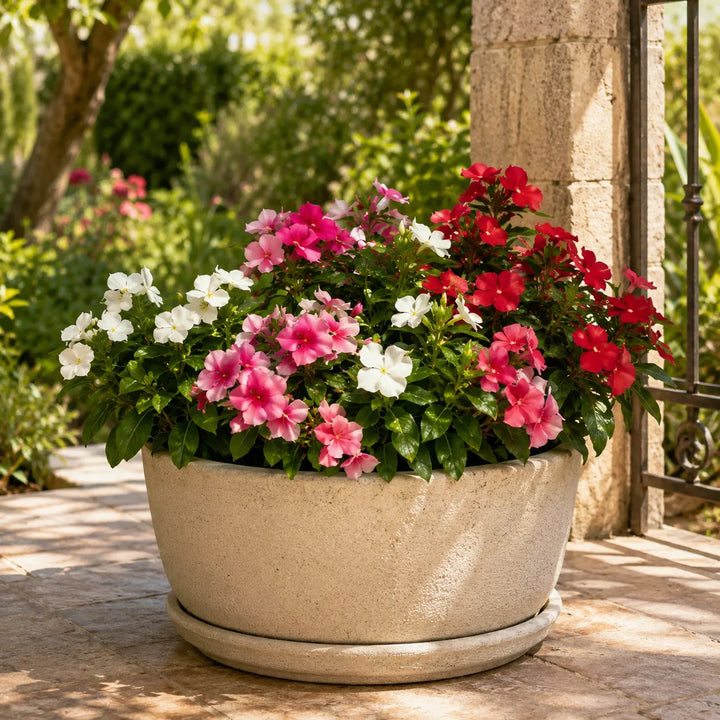 Upright Vinca D.14 H.30cm