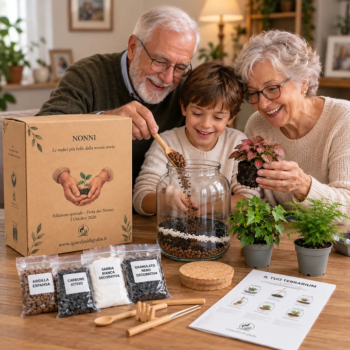 Kit Fai Da Te Terrarium Medio Completo con scatola regalo