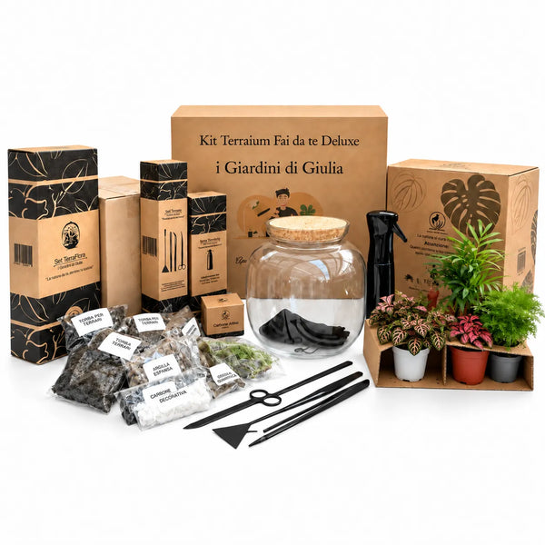 Kit Terrarium Fai Da Te Master | Il Super Kit per Creare un Giardino in Vetro Unico