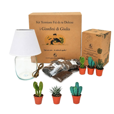 Kit Terrarium Lamparium Medio con piante grasse