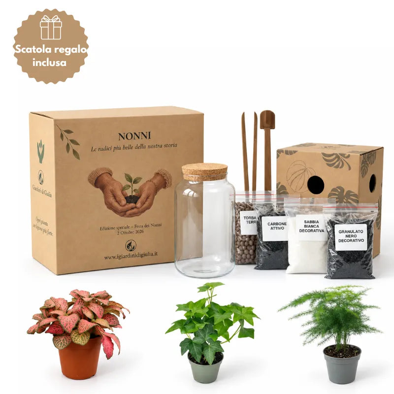 Kit Terrarium fai da te piccolo con piante, vaso in vetro, substrati, decorazioni, attrezzi e scatola regalo inclusa