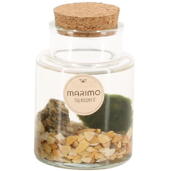 Marimo D. 7 cm H. 10 cm ST