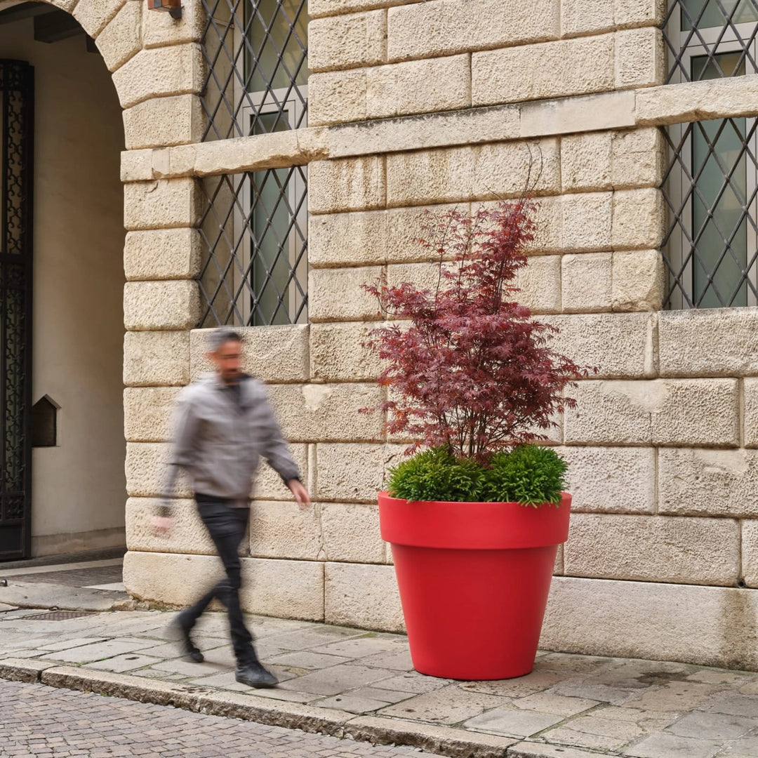 Standard One Cono - i Giardini di Giulia  