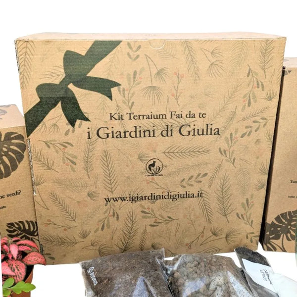 Coffret cadeau de terrarium à faire soi-même 