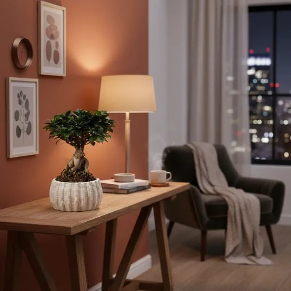 Bonsai Ficus Ginseng - dettaglio del tronco e delle foglie in vaso artigianale