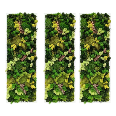 Quadro Rettangolare Muschio e Licheni Stabilizzati con Sughero – 90x30 cm | Cornice Bianca o Nera