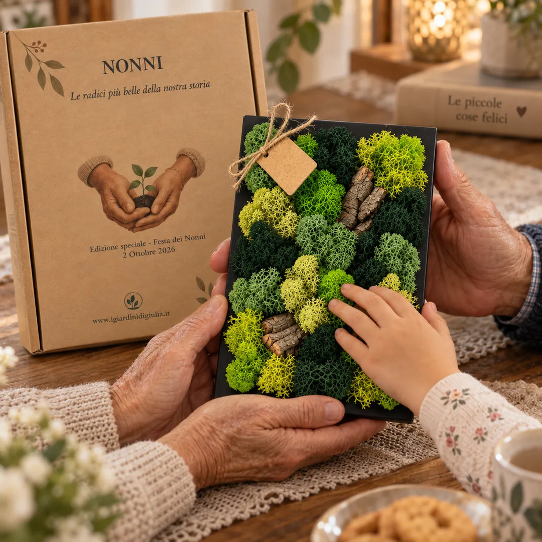 Dettaglio del Quadro Mini 14,5x24,5 cm con muschio e licheni stabilizzati e scatola regalo Festa dei Nonni