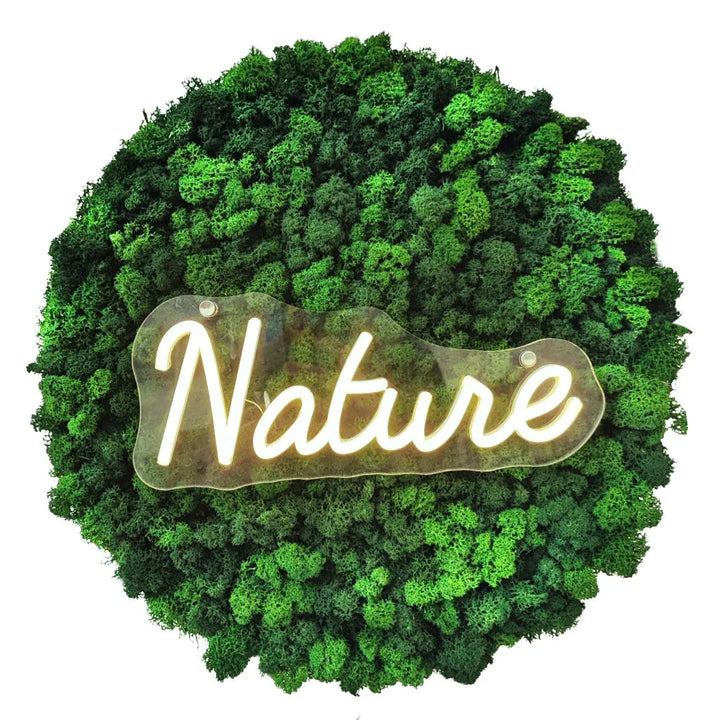 Quadro licheni stabilizzati LED tondo - vista frontale del quadro Nature illuminato in ambiente moderno