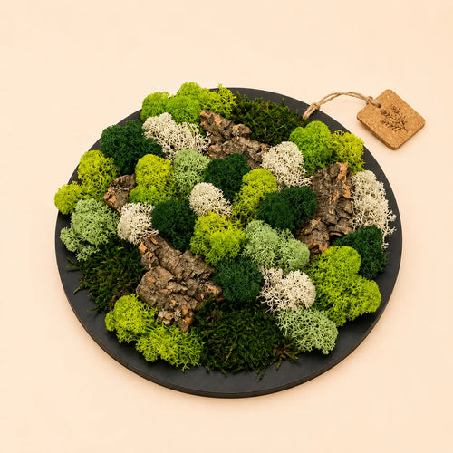Quadro tondo nero con muschio e licheni verde chiaro, verde bosco e corteccia