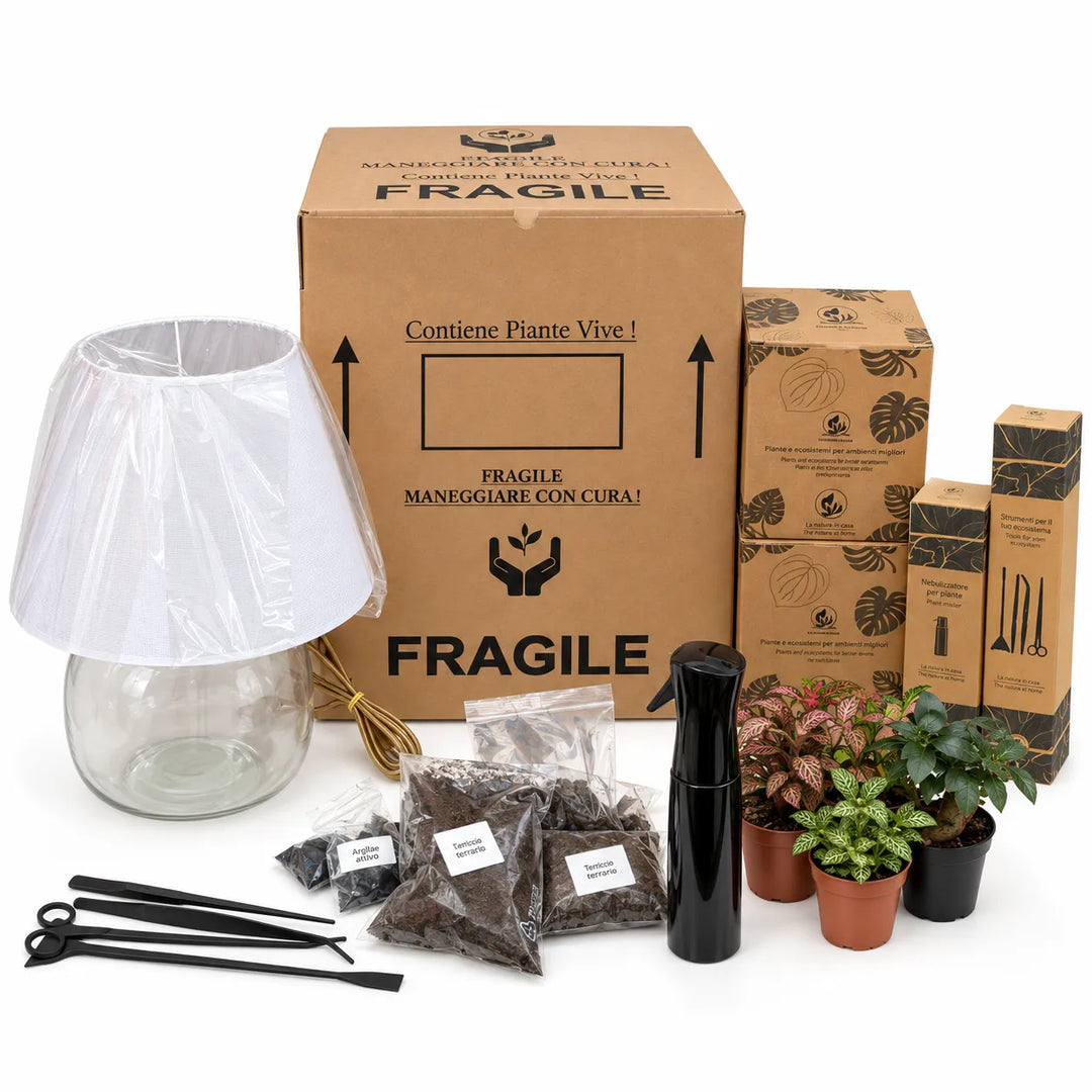 Super Kit fai da te Lamparium tutto incluso con contenitore in vetro, paralume, piantine, substrati, nebulizzatore, attrezzi e confezioni