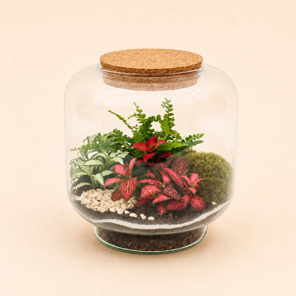 Terrarium Hortus con piante tropicali verdi e fittonia rosa in vaso di vetro con tappo in sughero per arredare ambienti interni moderni.