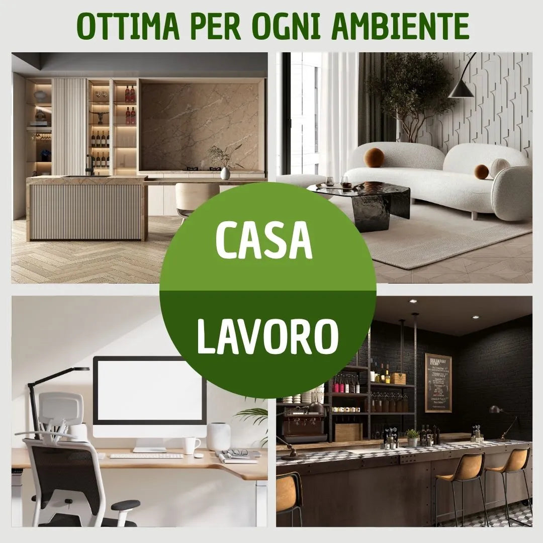 Tradescantia Nanouk in casa - infografica ambienti ideali per la pianta ricadente