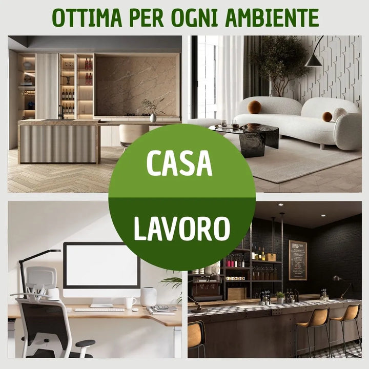 Tradescantia Nanouk in casa - infografica ambienti ideali per la pianta ricadente