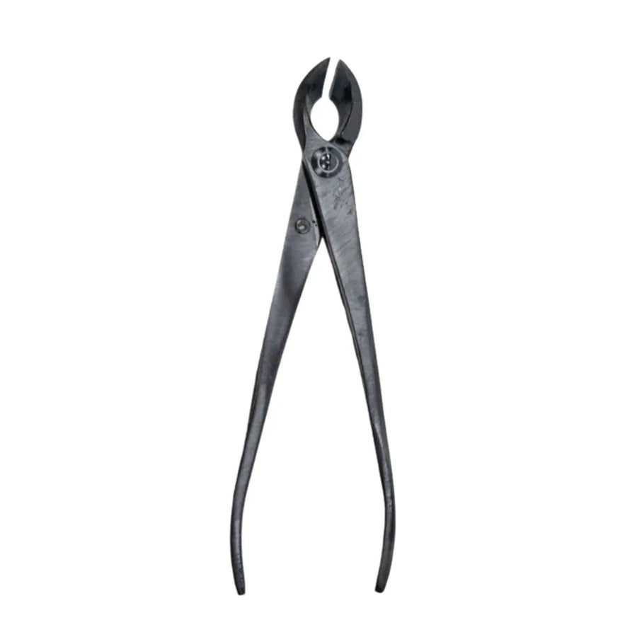 Tronchese concavo a taglio dritto da 170 mm in acciaio nero per potature fini su bonsai