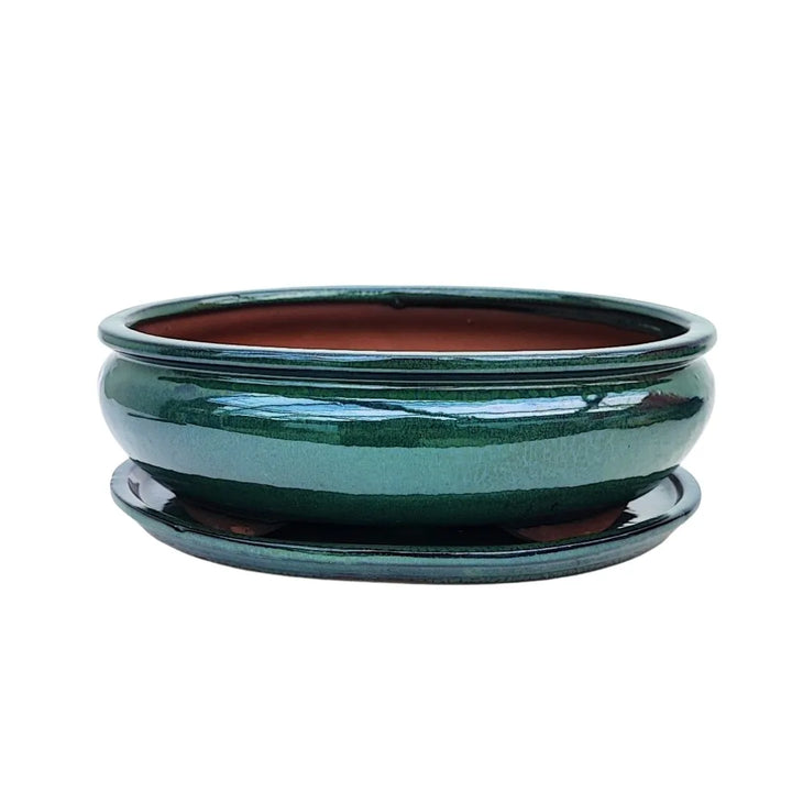 Vaso bonsai ovale in ceramica craquelé con sottovaso – dimensione 30 cm