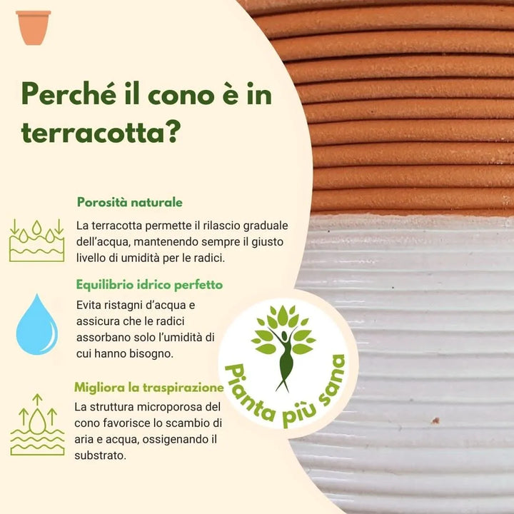 Infografica esplicativa sui vantaggi del cono in terracotta per le piante in idrocultura: porosità naturale, equilibrio idrico ottimale e miglior traspirazione per radici sane e ben ossigenate. Sfondo con dettaglio visivo della superficie in terracotta.
