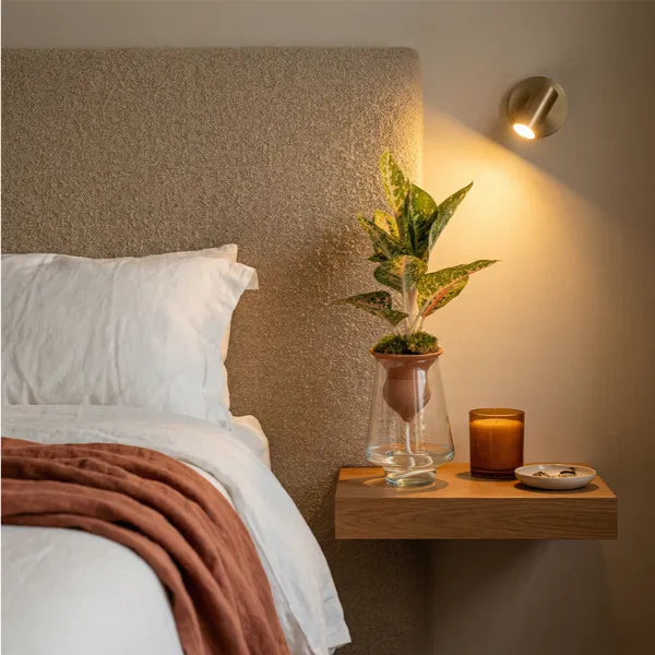 Aglaonema Idrocoltura su piano cucina in marmo, cono in terracotta e vaso in vetro