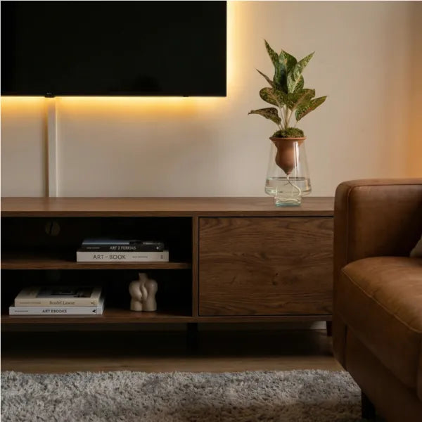 Aglaonema Idrocoltura Mix su mobile TV in soggiorno moderno, cono in terracotta
