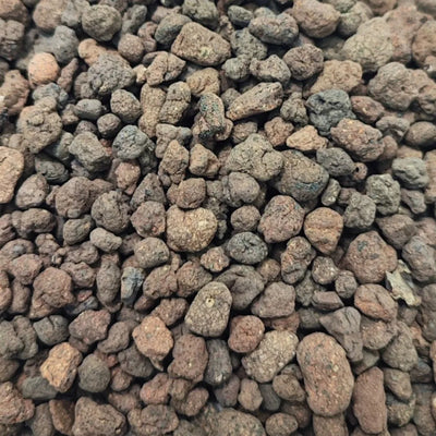 Argilla espansa per terrarium e piante