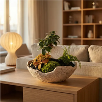 Géoterrarium avec bonsaï D.21