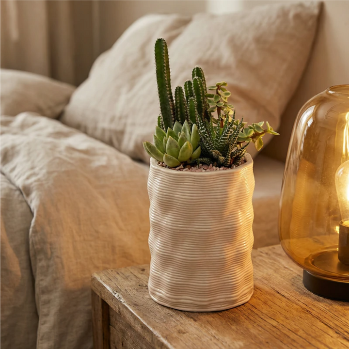 Composizione DesertiKa Andromeda Ø10 cm con cactus e piante grasse in vaso cilindrico decorativo posizionata su comodino accanto al letto.