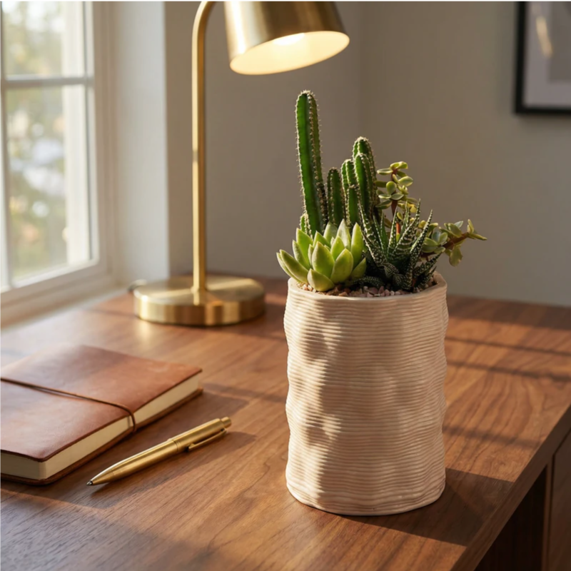 Composizione DesertiKa Andromeda Ø10 cm con cactus e succulente in vaso decorativo su scrivania in legno vicino a lampada da tavolo, pianta ornamentale per studio o ufficio.