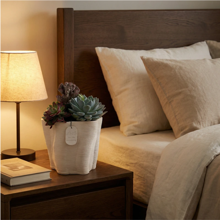 Composizione di piante grasse succulente in vaso decorativo posizionata su comodino accanto al letto in camera da letto.