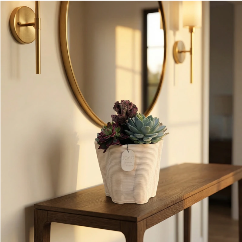 Composizione di piante grasse decorative in vaso bianco su consolle in legno all’ingresso sotto specchio rotondo.
