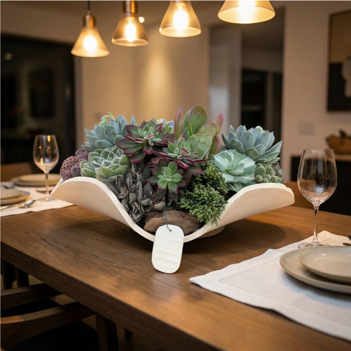 Composizione di piante grasse succulente in vaso decorativo su davanzale illuminato dalla luce naturale.