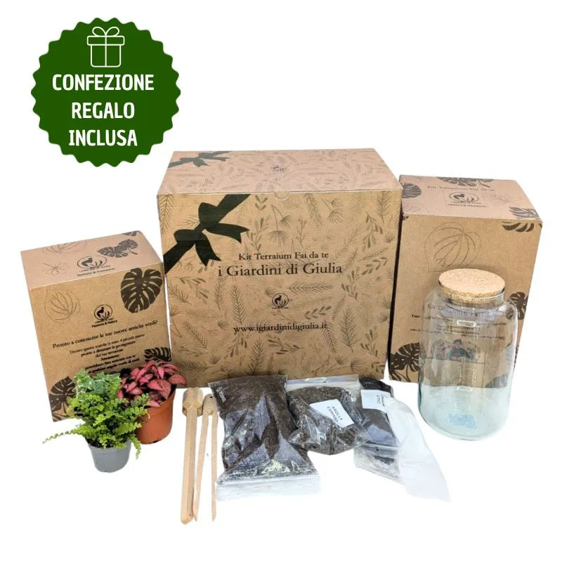 Small Terrarium Kit with Live Plants and Gift Box