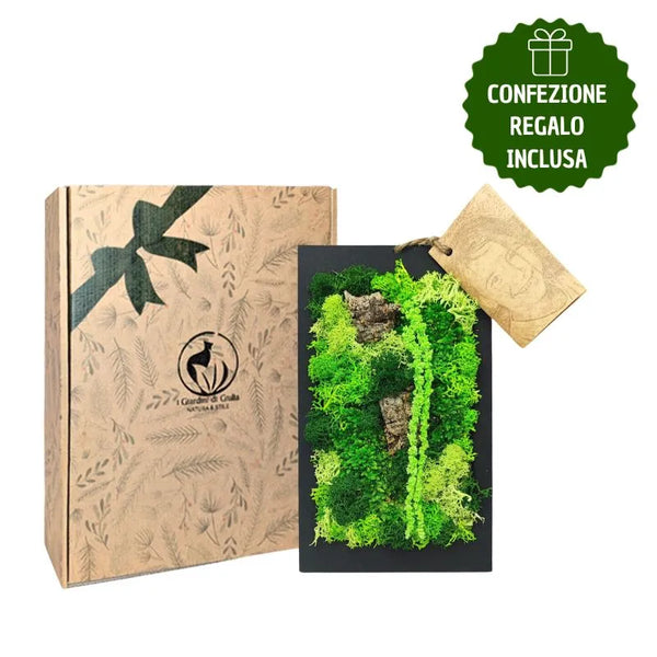 Rectangular mini frame of preserved moss and lichen with gift box