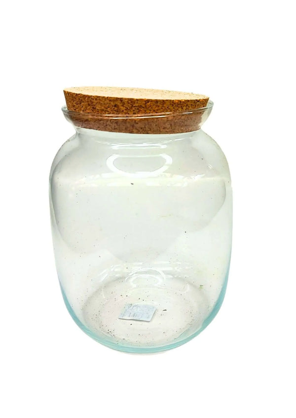 Mittlerer Behälter aus mundgeblasenem Glas für Terrarien