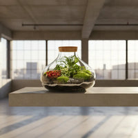 Terrarium piante in vetro - dettaglio delle piante verdi all'interno del contenitore in vetro