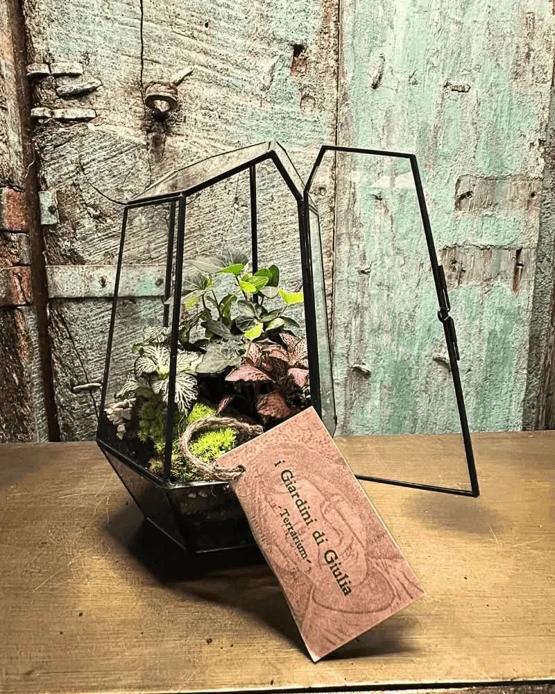 Terrarium geometrico realizzato con il Kit Florine, con piante vive e muschio