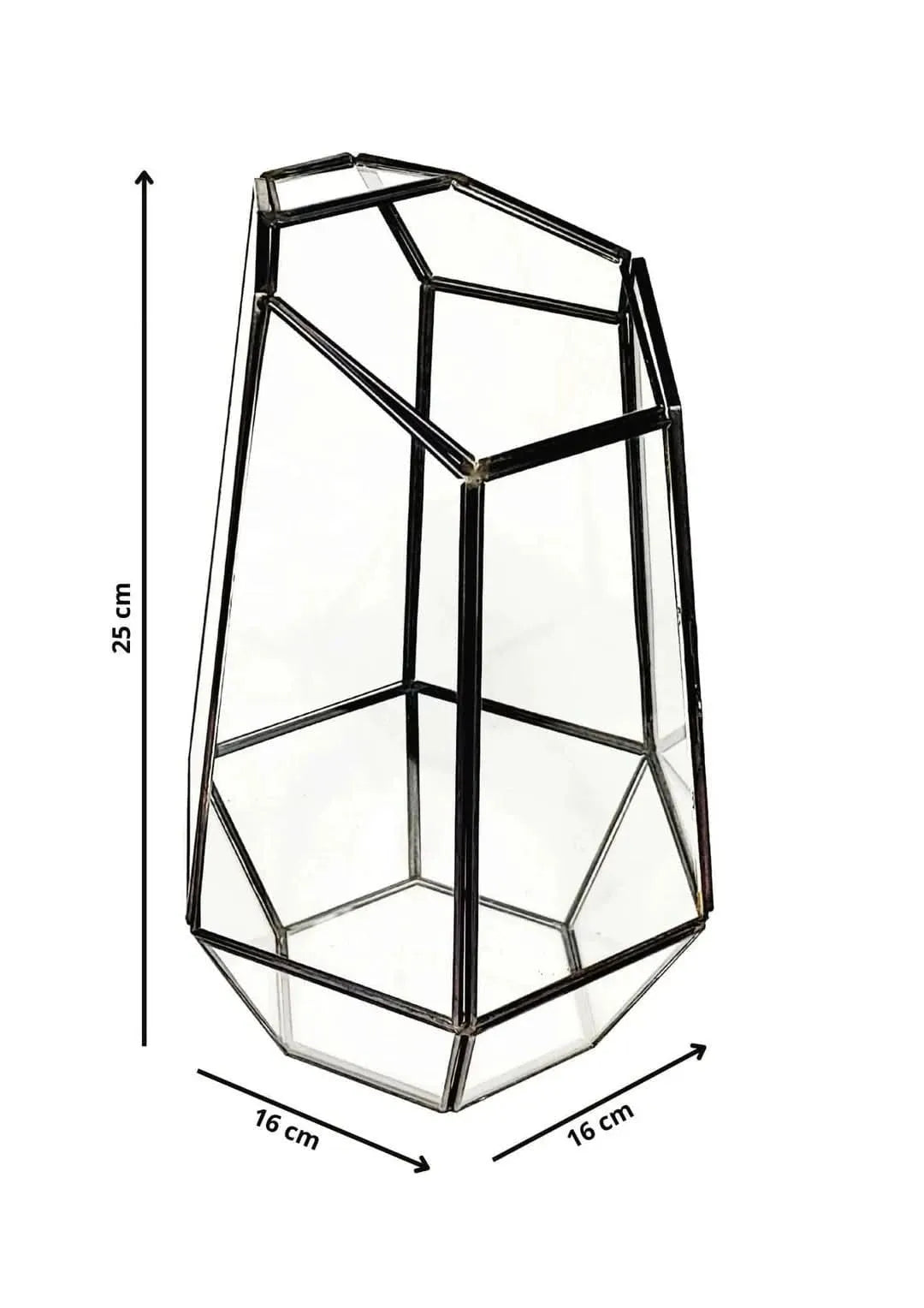 Contenitore in vetro geometrico per terrarium fai da te, dimensioni 25x16 cm