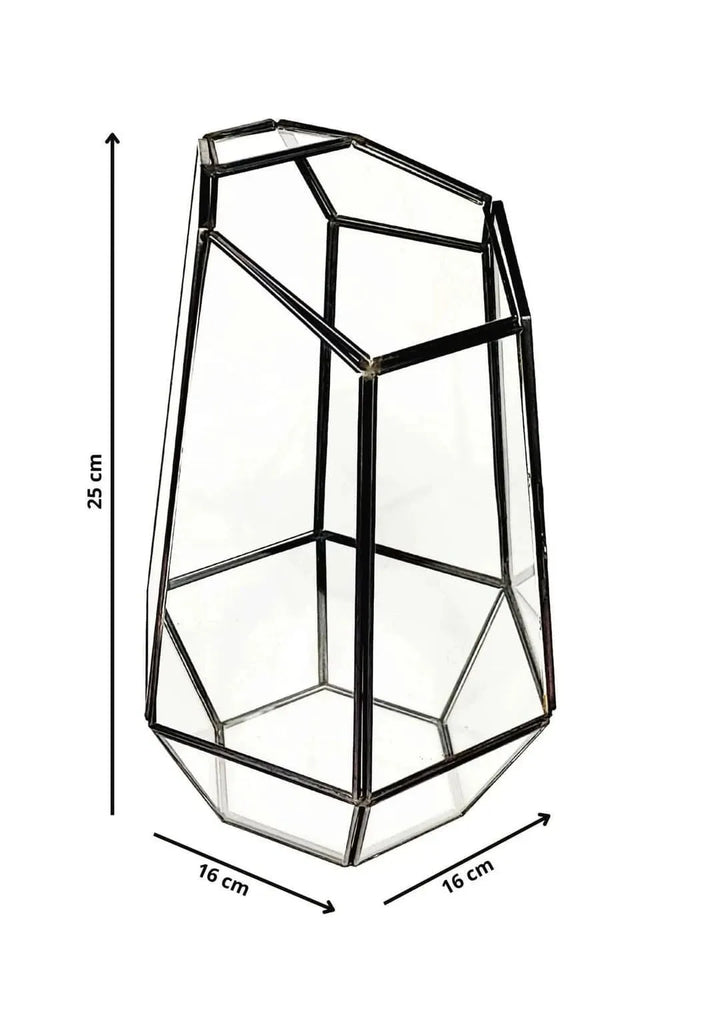 Contenitore in vetro geometrico per terrarium fai da te, dimensioni 25x16 cm