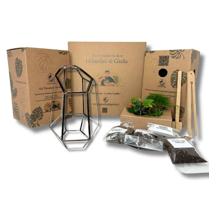 Kit Terrarium Fai Da Te Completo Geometrico Florine con contenitore in vetro, piante e substrati