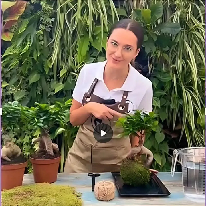 Papà e bambino con Kit Kokedama Bonsai Ginseng completo – attività creativa con pianta, muschio, base decorativa e materiali inclusi – I Giardini di Giulia