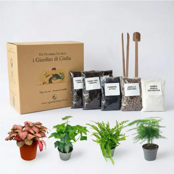 Kit Terrarium Fai da Te - componenti del kit con piantine vere e substrati