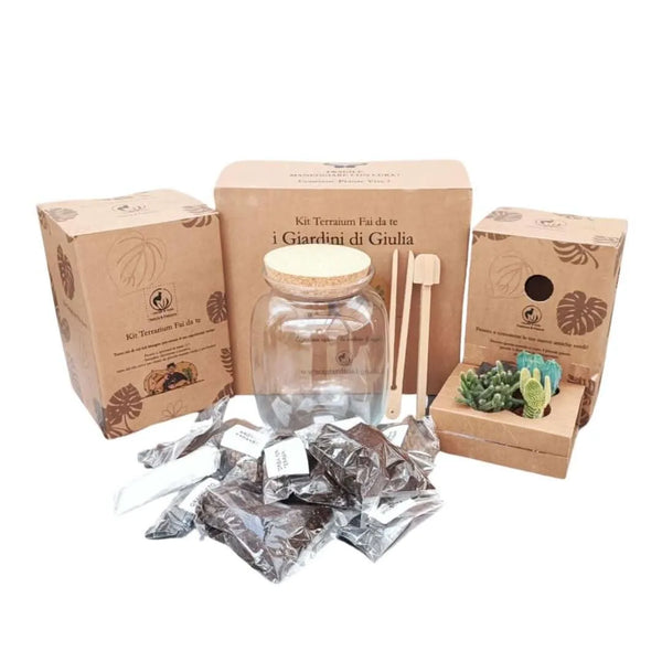 Complete DIY succulent terrarium kit
