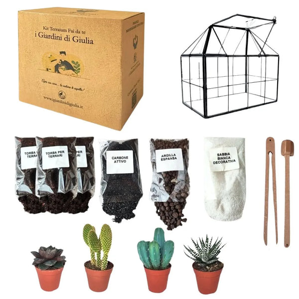 Geometrisches DIY-Terrarium-Set mit Sukkulenten