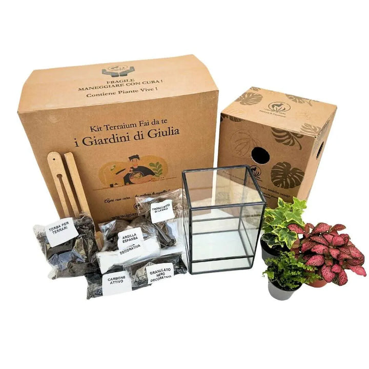 Contenuto completo Kit Terrarium Fai da Te ADA - piante, substrati e attrezzi