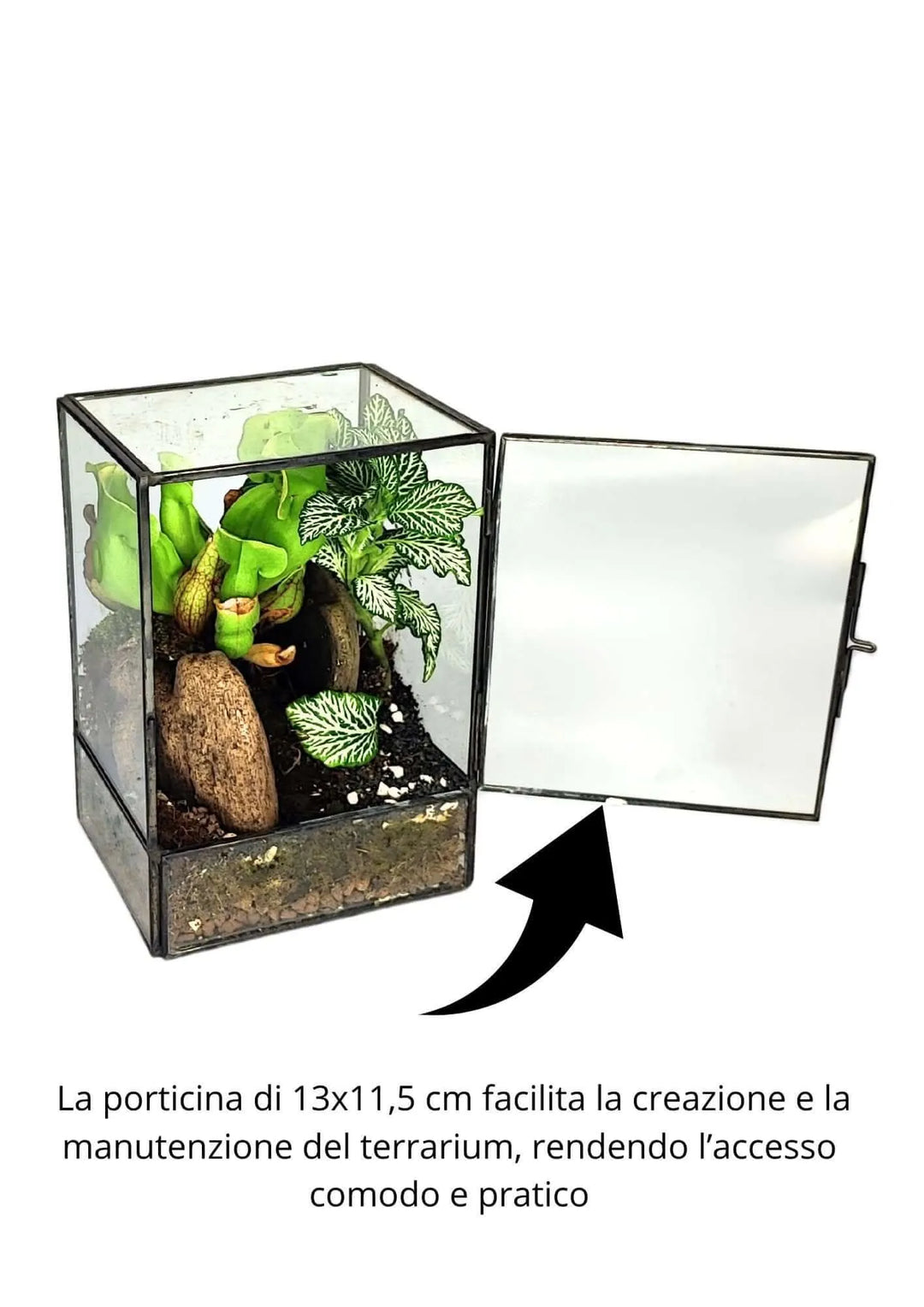 Terrarium geometrico ADA - dettaglio sportello frontale apribile