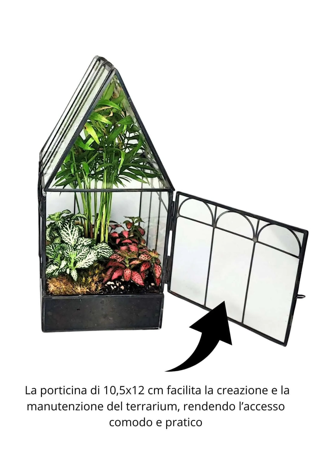 Terrarium geometrico in vetro con apertura laterale per facile manutenzione